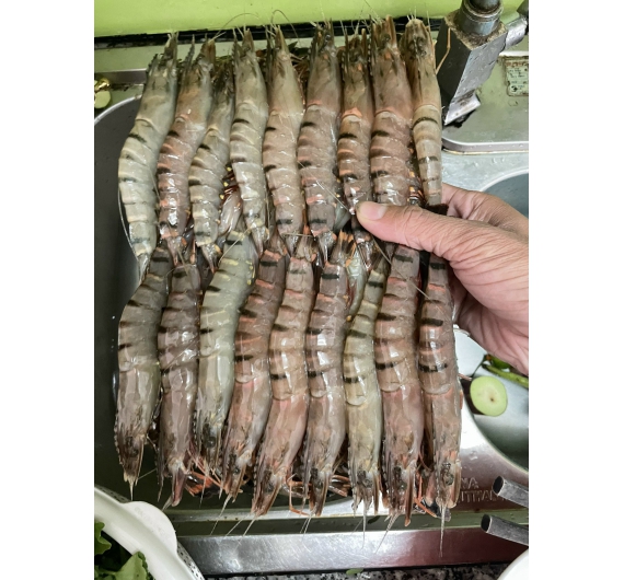 TÔM SÚ QUẢNG CANH ĐÔNG LẠNH